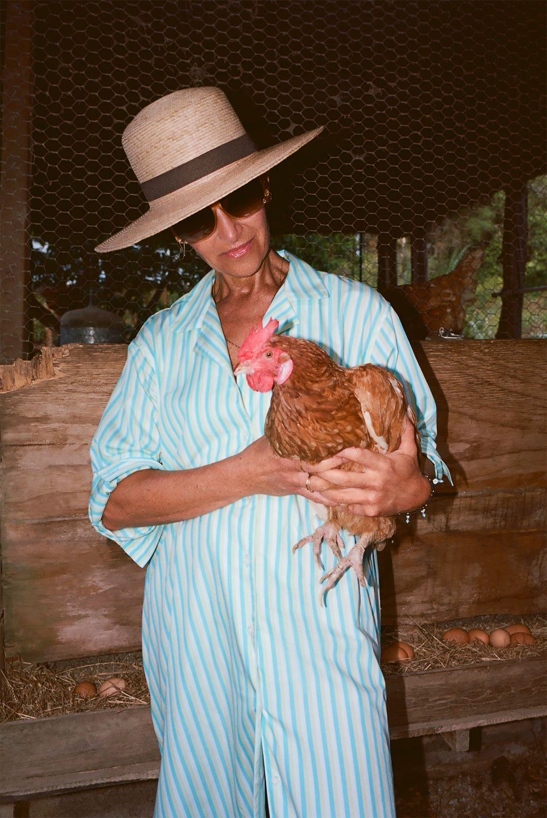 The Notched Collar Shirtdress, Coppola Stripes